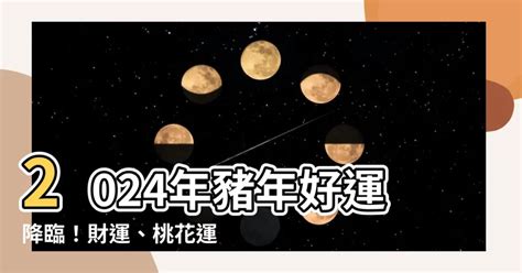 豬年幸運顏色|2024屬豬幾歲、2024屬豬運勢、屬豬幸運色、財位、禁忌